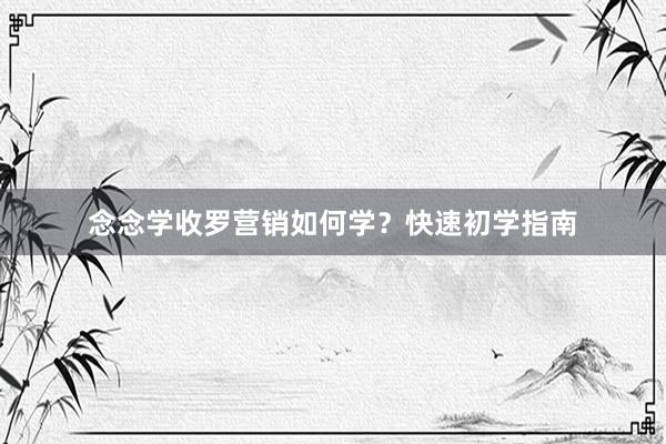 念念学收罗营销如何学？快速初学指南