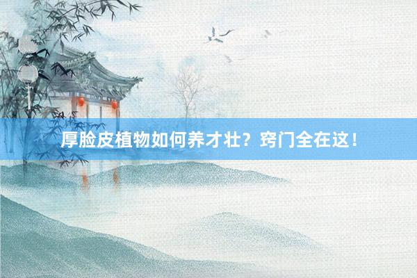 厚脸皮植物如何养才壮？窍门全在这！