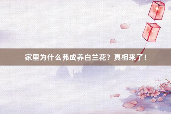 家里为什么弗成养白兰花？真相来了！