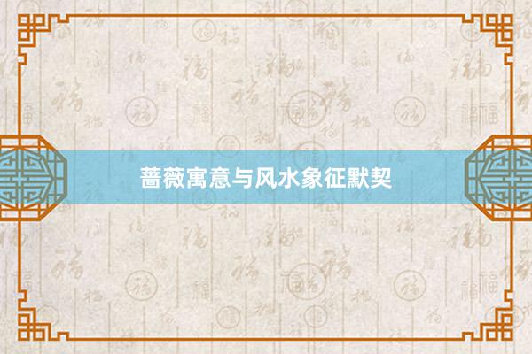 蔷薇寓意与风水象征默契
